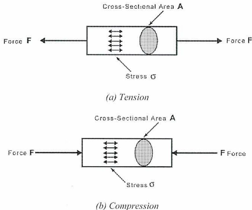 Figure 10: Tensile and Compressive Stresses. (a) Tension: A rectangular block is shown with a cross-sectional area A. Two arrows labeled 'Force F' point outwards from the ends of the block. Inside the block, five small arrows point to the right, representing the internal stress. A label 'Stress σ' points to these internal arrows. (b) Compression: A rectangular block is shown with a cross-sectional area A. Two arrows labeled 'Force F' point inwards towards the ends of the block. Inside the block, five small arrows point to the right, representing the internal stress. A label 'Stress σ' points to these internal arrows.