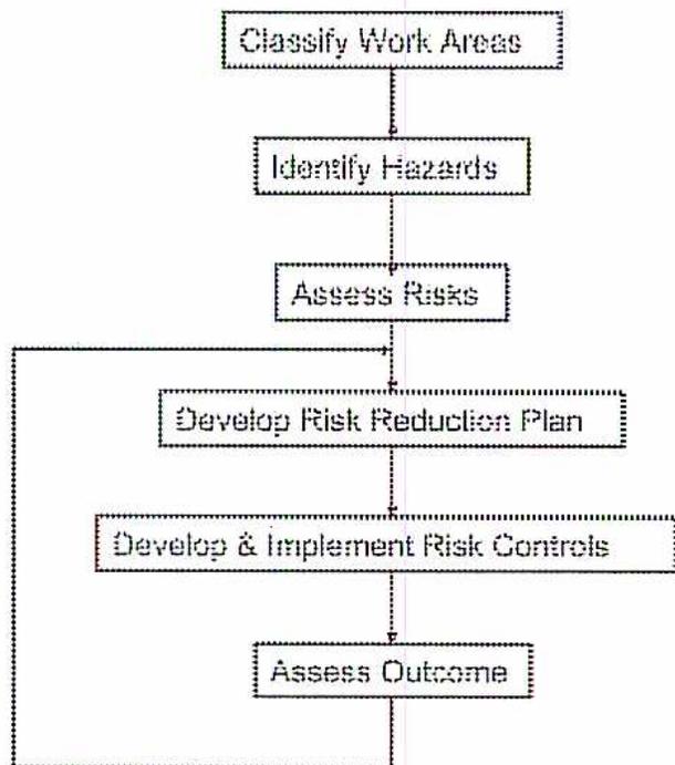 Flowchart of the Risk Reduction Process