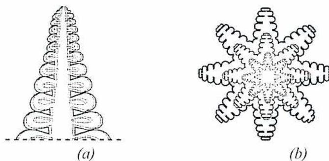Figure 5: Metallic Crystal Dendrite. (a) Side view showing a central vertical axis with branching, tree-like structures. (b) Top view showing a six-fold symmetric star-like branching pattern.