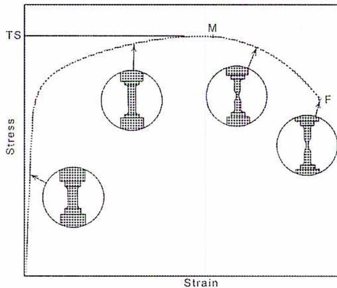 A graph showing Stress versus Strain. The curve starts at the origin, rises linearly to a point labeled 'M' (Maximum), and then drops to a point labeled 'F' (Fracture). The peak stress is labeled 'TS' (Tensile Strength). Four circular insets show the specimen's cross-section at different stages: initial, at point M, at point F, and after fracture.
