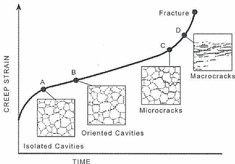 Figure 11: Cavity Assessment graph showing Creep Strain vs. Time. The graph illustrates the progression of damage from isolated cavities to macrocracks and finally fracture. Points A, B, C, and D mark key stages in the creep process.