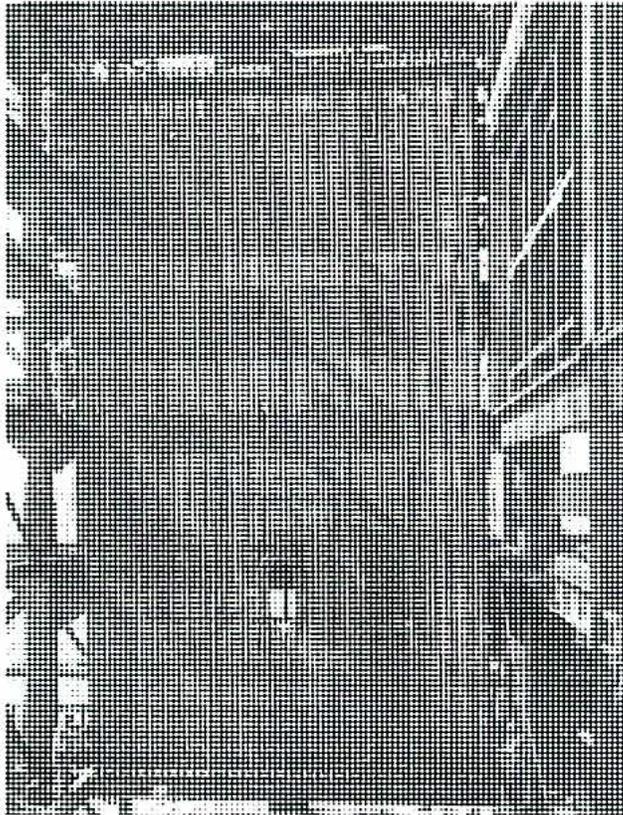 A black and white photograph showing the interior of a large industrial structure, likely a boiler or steam generator. The image displays a dense array of vertical tubes, which are the water wall panels, arranged in a grid-like pattern. The lighting is somewhat dim, and the overall texture is grainy, typical of older industrial photography.