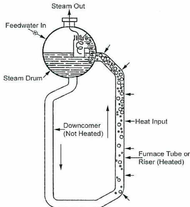 Diagram of a water tube circulation loop. A steam drum at the top contains water and steam. Feedwater enters the drum from the left. A downcomer tube (labeled 'Downcomer (Not Heated)') descends from the bottom of the drum. A furnace tube or riser (labeled 'Furnace Tube or Riser (Heated)') ascends from the bottom of the downcomer, passing through a furnace where heat is applied (labeled 'Heat Input'). The heated water/steam mixture returns to the steam drum. Steam exits from the top of the drum (labeled 'Steam Out'). Arrows indicate the clockwise flow of water: down the downcomer and up the riser.