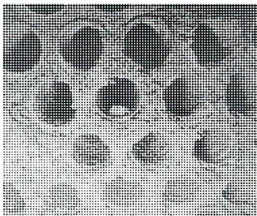 A black and white photograph showing a close-up of a metal surface, likely a tubesheet, covered in numerous dark, irregular, circular deposits of calcium carbonate (CaCO3) scale. The deposits vary in size and density, with some appearing as small spots and others as larger, more confluent patches. The background surface has a fine, grainy texture.