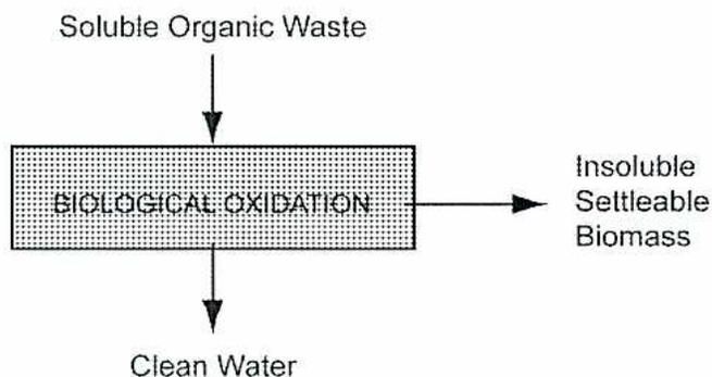 Flowchart of the Biological Oxidation Process