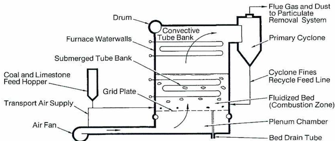 Schematic diagram of a Fluidized Bed Boiler (BFB) showing its internal components and flow paths.