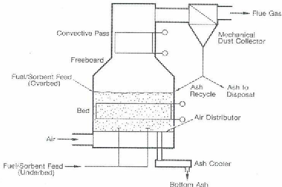 Schematic diagram of a Fluidized Bed Boiler Module.