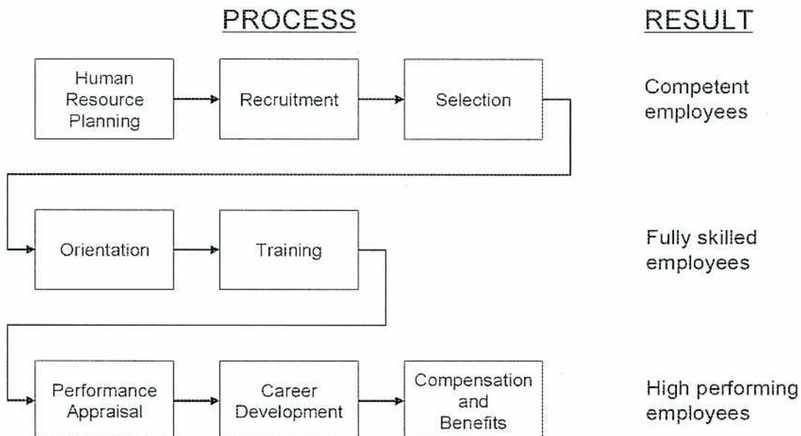 Flowchart of the Human Resource Management Process showing eight steps in three rows. Row 1: Human Resource Planning, Recruitment, Selection. Row 2: Orientation, Training. Row 3: Performance Appraisal, Career Development, Compensation and Benefits. Arrows show a sequential flow with feedback loops from Selection to Orientation, Training to Performance Appraisal, and Compensation and Benefits to Performance Appraisal.