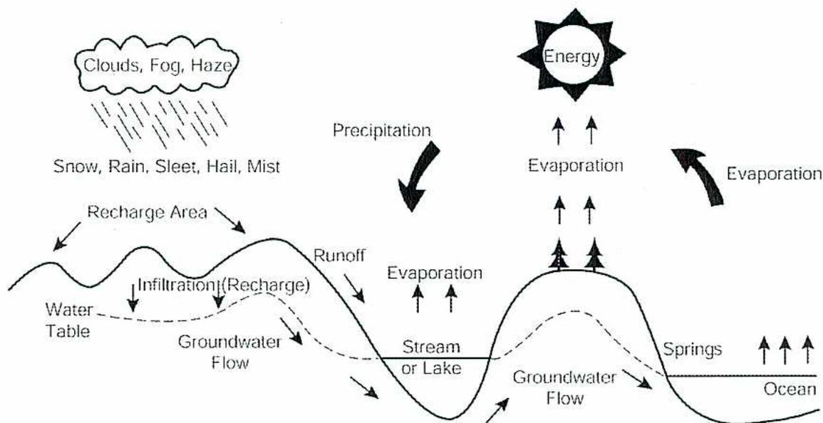 Diagram of the Global Water Cycle showing evaporation, condensation, precipitation, and runoff.