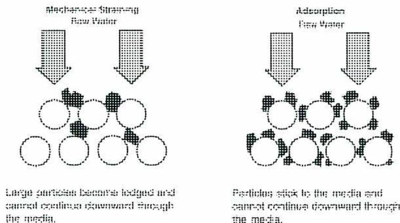 Figure 6: Filtration by Straining/Adsorption. The diagram is split into two panels. The left panel, titled 'Mechanical Straining', shows 'Raw Water' (represented by two downward arrows) passing through a bed of circular media particles. Large, dark, irregular particles are shown getting stuck in the gaps between the media particles. Below this, the text reads: 'Large particles become lodged and cannot continue downward through the media.' The right panel, titled 'Adsorption', shows 'Raw Water' passing through a similar bed. Here, smaller dark particles are shown sticking to the surfaces of the media particles. Below this, the text reads: 'Particles stick to the media and cannot continue downward through the media.'