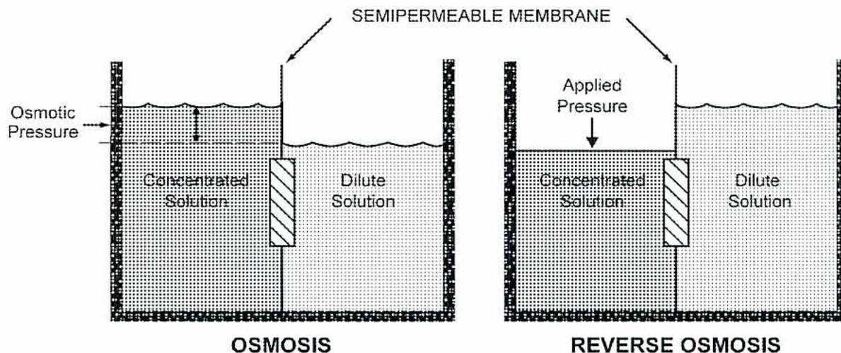 Diagram illustrating the principles of osmosis and reverse osmosis. The diagram is divided into two parts: OSMOSIS and REVERSE OSMOSIS, separated by a SEMIPERMEABLE MEMBRANE. In the OSMOSIS part, a 'Concentrated Solution' on the left and a 'Dilute Solution' on the right are shown. The liquid level is higher on the concentrated solution side, and the difference in height is labeled 'Osmotic Pressure'. In the REVERSE OSMOSIS part, the same solutions are shown, but an 'Applied Pressure' is exerted on the concentrated solution side, causing the liquid level to be lower than on the dilute solution side.