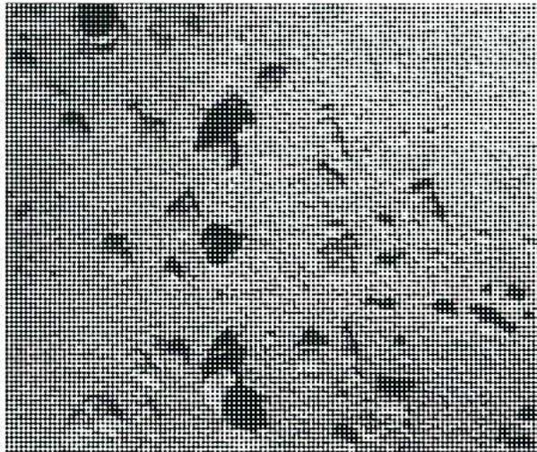 A black and white photograph showing a metal surface with numerous small, dark, irregular pits, illustrating oxygen pitting.