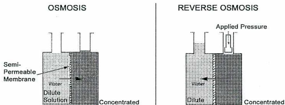 Diagram illustrating Osmosis and Reverse Osmosis.