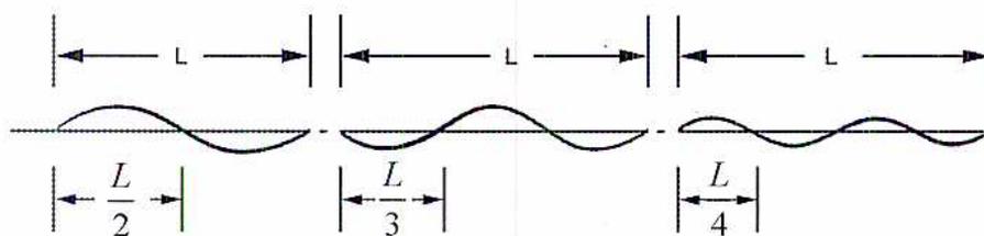 Figure 6: Forms of Whirling Shaft at Critical Speeds. Three diagrams showing different modes of shaft whirling. Each diagram shows a shaft of length L with a sinusoidal deflection. The first mode has one half-sine wave with a nodal point at the center (L/2). The second mode has one full sine wave with nodal points at the center (L/3) and the ends. The third mode has one and a half sine waves with nodal points at the center (L/4) and the ends.