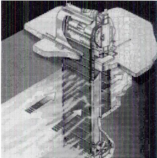 A black and white photograph showing a large industrial turbine generator installation. The image is somewhat blurry, showing the complex machinery and structural components of the installation.
