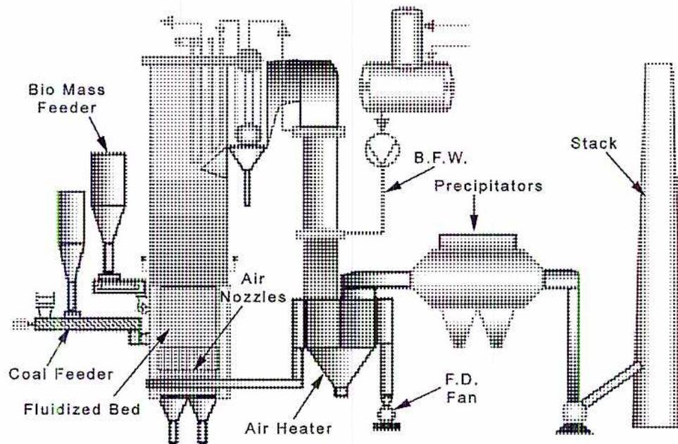 Schematic diagram of a Fluidized Bed Biomass Boiler. The diagram shows a vertical furnace chamber with a 'Fluidized Bed' at the bottom. On the left, a 'Coal Feeder' and a 'Bio Mass Feeder' are shown entering the furnace. 'Air Nozzles' are located along the side walls. At the bottom, an 'Air Heater' is connected to the furnace. Exhaust gases pass through a series of 'Precipitators' and are then directed to a 'Stack' via an 'F.D. Fan'. 'B.F.W.' (Boiler Feed Water) is shown entering the top of the furnace.