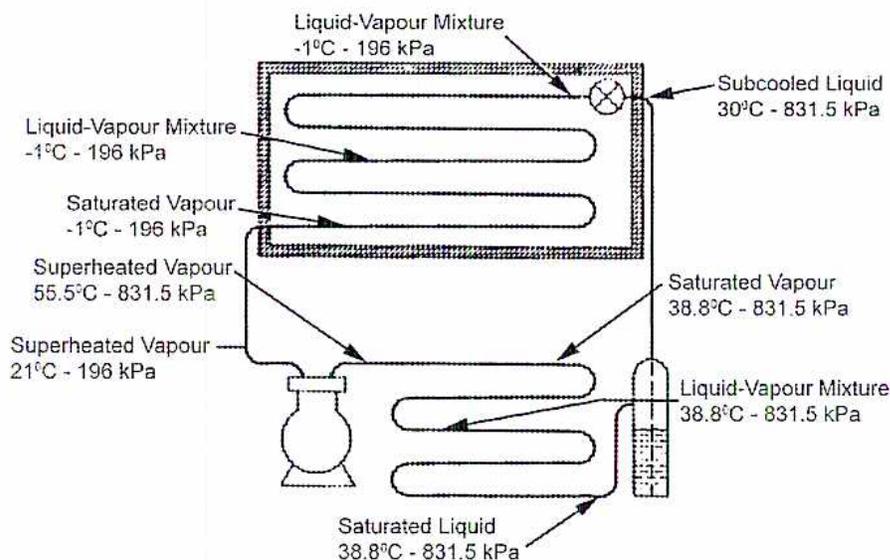 A schematic diagram of a vapor-compression refrigeration cycle. The cycle consists of four main components: a compressor, a condenser, an expansion valve, and an evaporator. The refrigerant (ammonia) is shown in various states: 1. At the compressor inlet (bottom left), it is Superheated Vapour at 21°C and 196 kPa. 2. After compression (top left), it is Superheated Vapour at 55.5°C and 831.5 kPa. 3. In the condenser (top), it becomes Saturated Vapour at 38.8°C and 831.5 kPa, then Subcooled Liquid at 30°C and 831.5 kPa. 4. After the expansion valve (right), it becomes a Liquid-Vapour Mixture at 38.8°C and 831.5 kPa. 5. In the evaporator (right and bottom), it becomes Saturated Vapour at -1°C and 196 kPa, and finally a Liquid-Vapour Mixture at -1°C and 196 kPa before returning to the compressor.