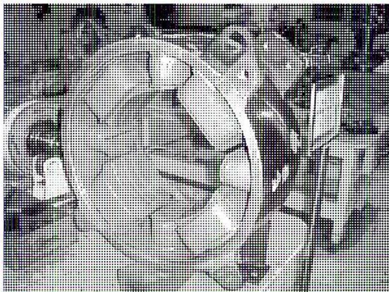 Figure 12: A photograph of a 4-pole stator with interpoles. The image shows the stator core with four main poles and four smaller interpoles positioned between them. The windings are visible on the poles.