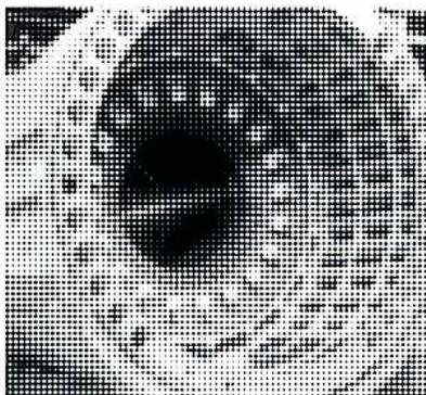 A close-up, black and white photograph showing a circular cross-section of a generator stator winding. The central part is a dark, solid-looking circle, surrounded by a lighter, textured ring that appears to be the hollow conductor material. The overall image has a grainy, halftone-like appearance.