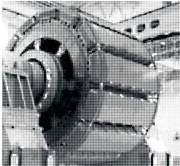 Figure 4: Photograph of a multi-pole salient-pole rotor assembly.