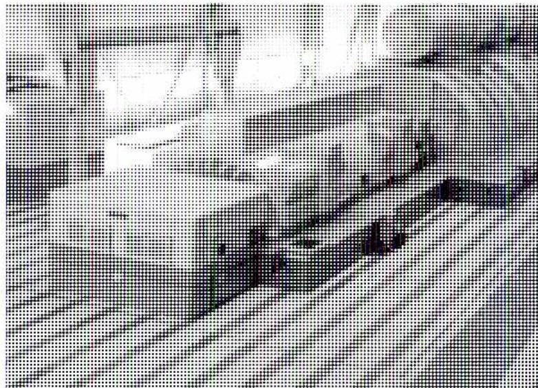 A black and white photograph showing the internal components of a large industrial generator. The image displays a series of parallel, metallic bars or conductors, likely part of the stator or rotor assembly, arranged in a regular pattern. The lighting is somewhat dim, and the focus is on the mechanical structure.