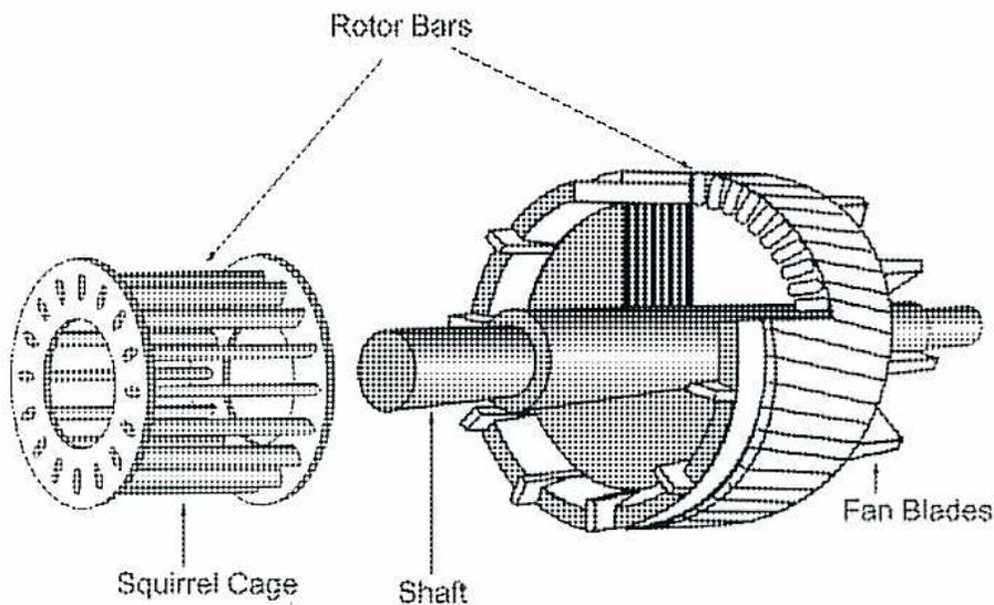 Diagram of a rotor assembly for an AC induction motor, showing the squirrel cage, shaft, rotor bars, and fan blades.