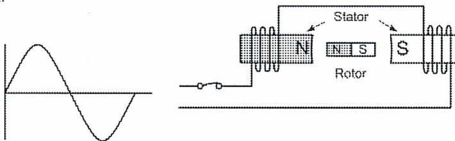 Diagram of a single-phase AC motor with a permanent magnet rotor.