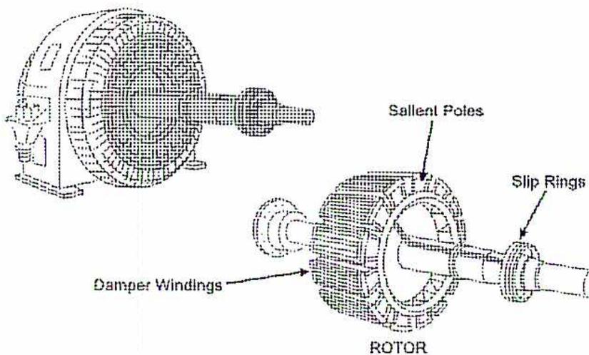 Diagram of a synchronous motor rotor showing salient poles, damper windings, and slip rings.