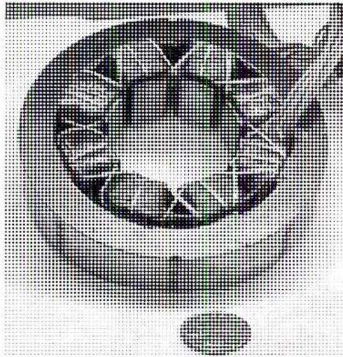 A black and white photograph showing a close-up of a salient-pole stator. The stator is a circular assembly with several prominent, curved poles (salient poles) arranged around its circumference. Each pole has a coil of wire wound around it. The central part of the stator shows the inner bore where the rotor would be located. The image has a halftone dot pattern.