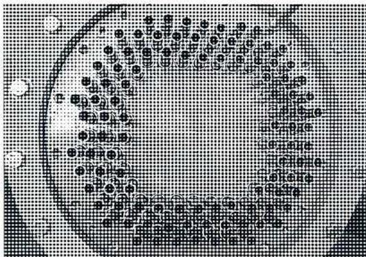 A black and white photograph of a shell-and-tube oil cooler. It is a large, cylindrical metal component with a dense, grid-like pattern of small holes or tubes visible on its surface. The object is positioned centrally against a dark, textured background.