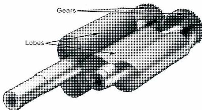 A 3D cutaway diagram of a lobe-type compressor showing two parallel rotors with lobes and gears. The rotors are housed within a casing. Labels 'Gears' and 'Lobes' point to the respective components. Arrows indicate the direction of rotation of the rotors.