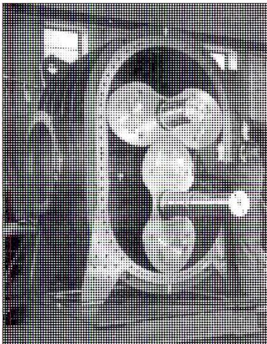 Figure 10: A black and white photograph showing the internal view of a lobe-type compressor. It clearly shows two interlocking lobes (rotors) mounted on shafts, with a gear visible on the left side of the frame.