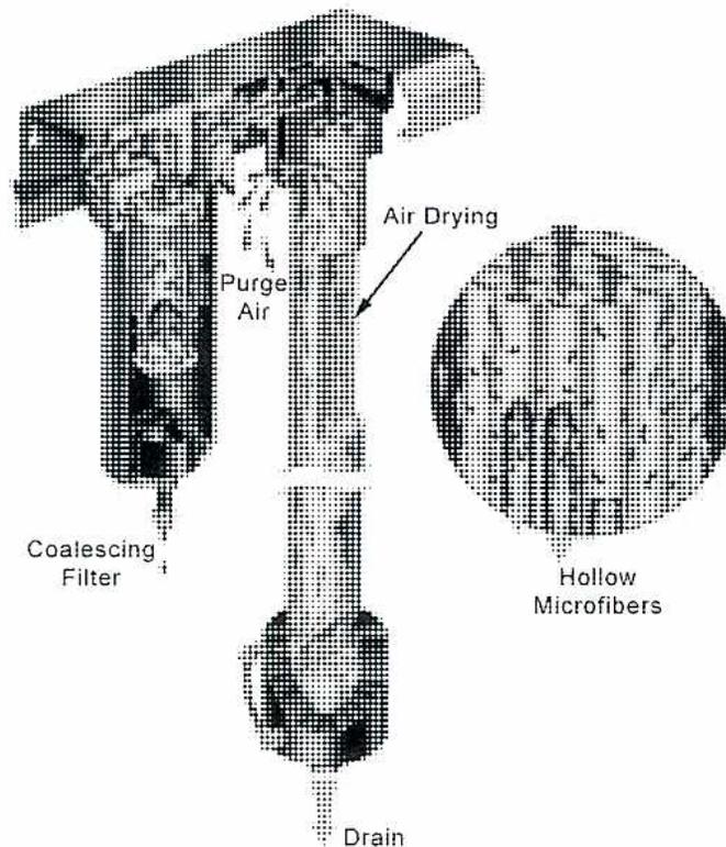 Diagram of a Membrane Drier system. The main unit is a vertical assembly. At the top, an arrow labeled 'Air Drying' points to the upper section. Below this, an arrow labeled 'Purge Air' points to a side inlet. On the left side of the main unit is a 'Coalescing Filter' with a drain at its base. At the bottom of the main unit is a 'Drain'. To the right of the main unit is a circular cross-section diagram showing 'Hollow Microfibers' arranged in a bundle.